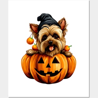 Yorkshire Terrier Dog inside Pumpkin #1 Posters and Art
